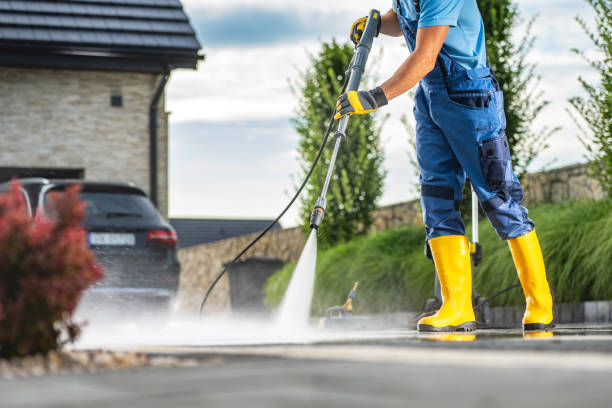 Best House Pressure Washing  in Web, AL