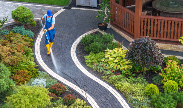 Best Residential Pressure Washing Services  in Web, AL